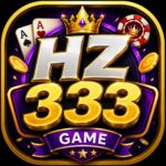 HZ333 Game