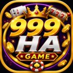 999HA Game